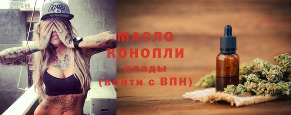 мдпв Краснослободск