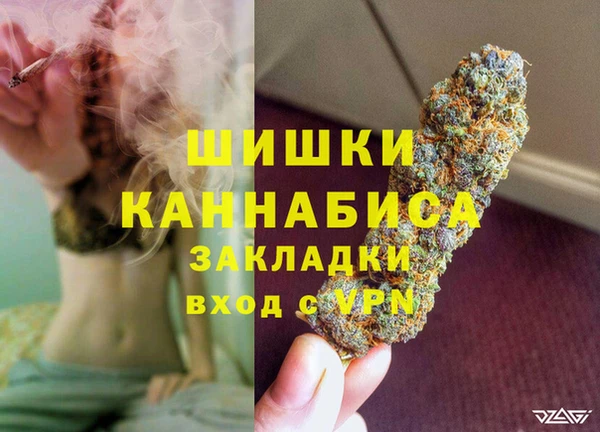 мдпв Краснослободск