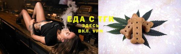 мдпв Краснослободск