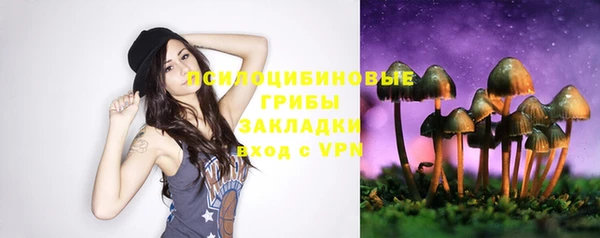 мдпв Краснослободск