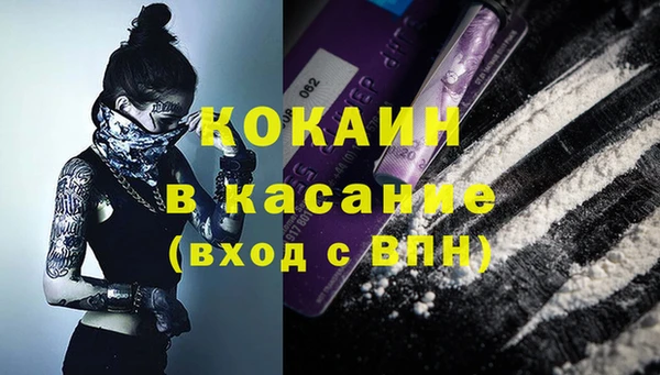 мдпв Краснослободск