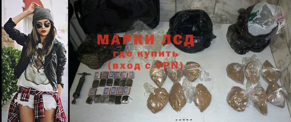 мдпв Краснослободск