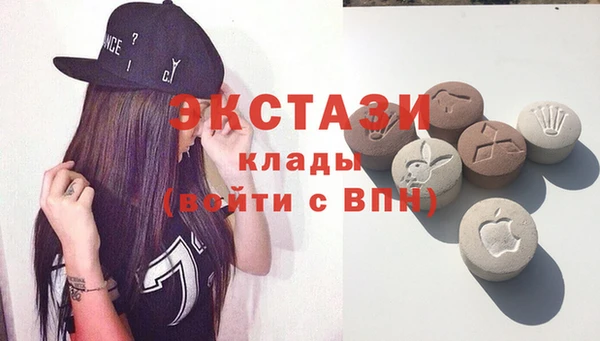 мдпв Краснослободск