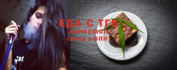 мдпв Краснослободск